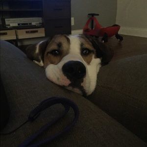 Meet your Posher, Abraham